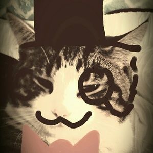 Meet your Posher, Molly